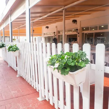 Complejo Bluesea Puerto Compuesto Por Canarife Y Bonanza Palace Hotel