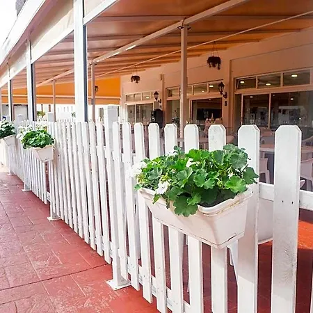 Complejo Bluesea Puerto Compuesto Por Canarife Y Bonanza Palace