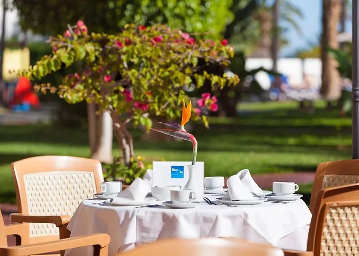 Complejo Bluesea Puerto Compuesto Por Canarife Y Bonanza Palace Puerto de la Cruz (Tenerife)