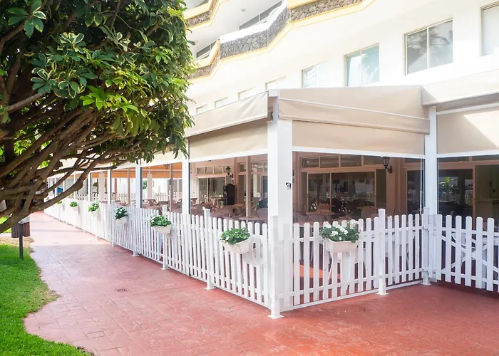 Complejo Bluesea Puerto Compuesto Por Canarife Y Bonanza Palace