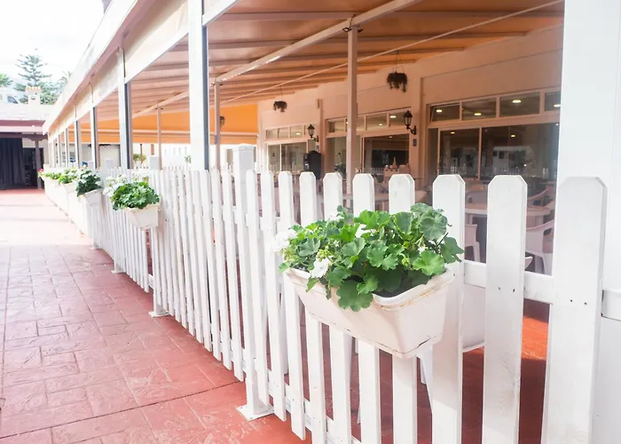 Complejo Bluesea Puerto Compuesto Por Canarife Y Bonanza Palace Hotel